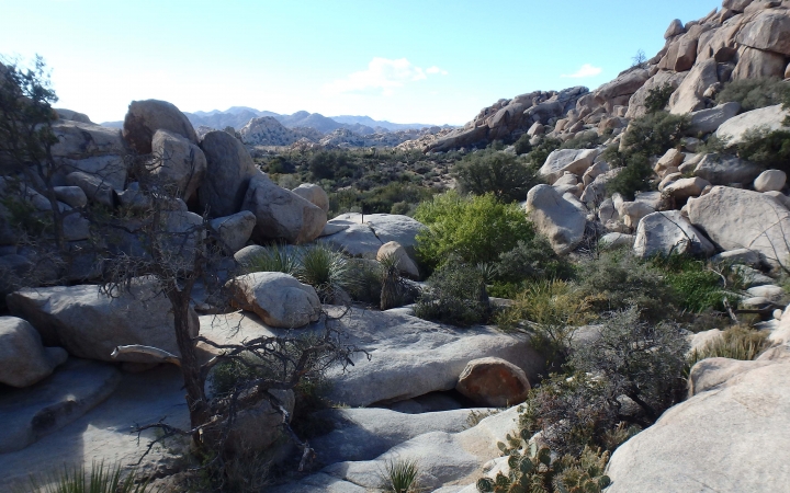 large boulders rest amongst green shrubs in texas